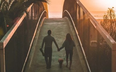 5 Honeymoon Destinations for Dog Lovers