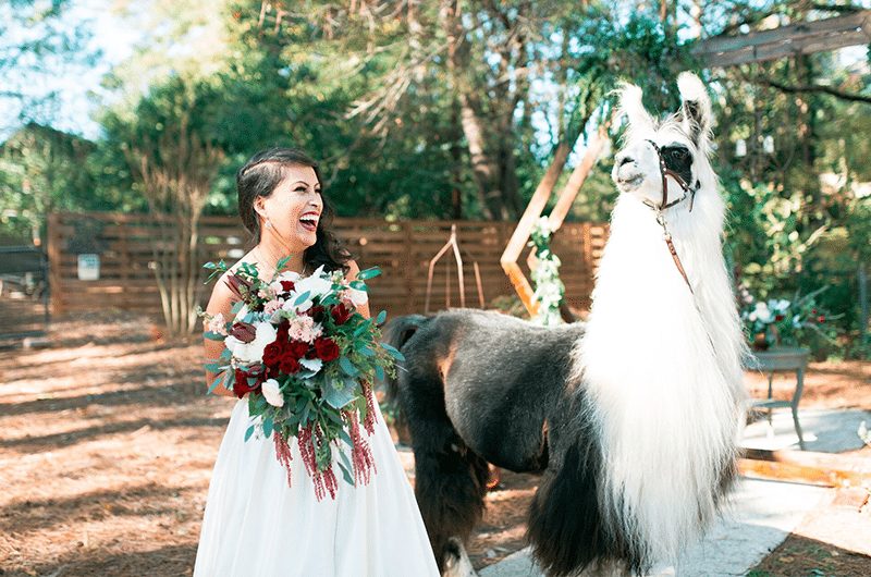 Llamas Enhance Unforgettable Wedding Inspiration