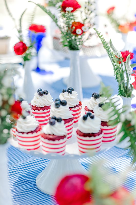 Nikki Ogden 4th July Blueberry Cupcakes