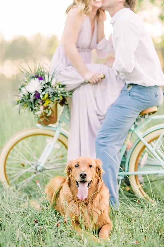 Carter Carlo Shoot Bike And Dog