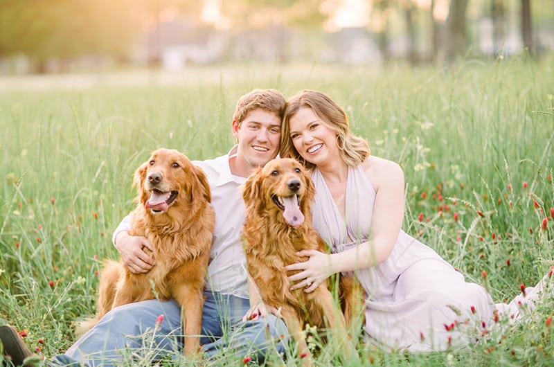 Golden Retriever Springtime Engagement Session