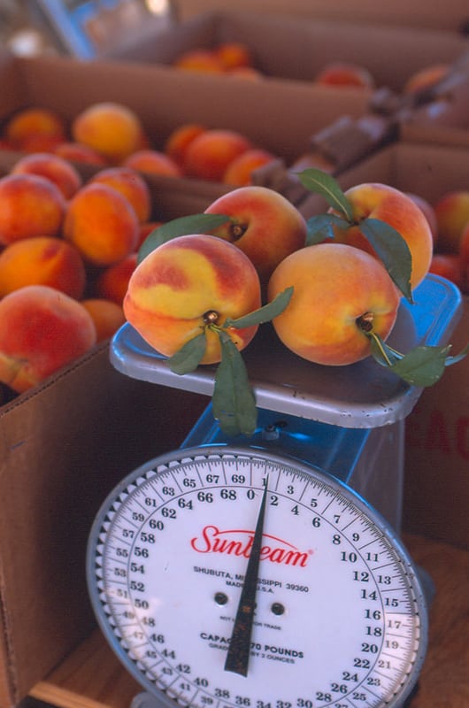 Fredericksburg Texas Peaches Weighed