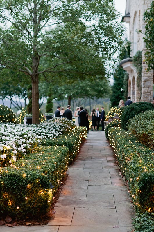 Mattie Jackson Wedding Reception Bushes