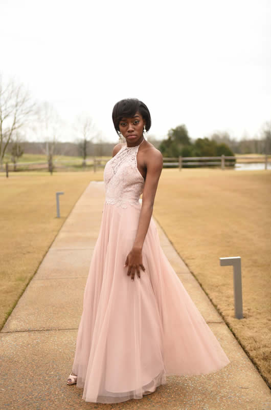 2018 Bridesmaids Dresses Pink Dress 1
