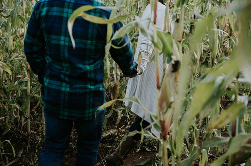 Dreamy Pumpkin Patch Engagement Photoshoot Close Up Maze