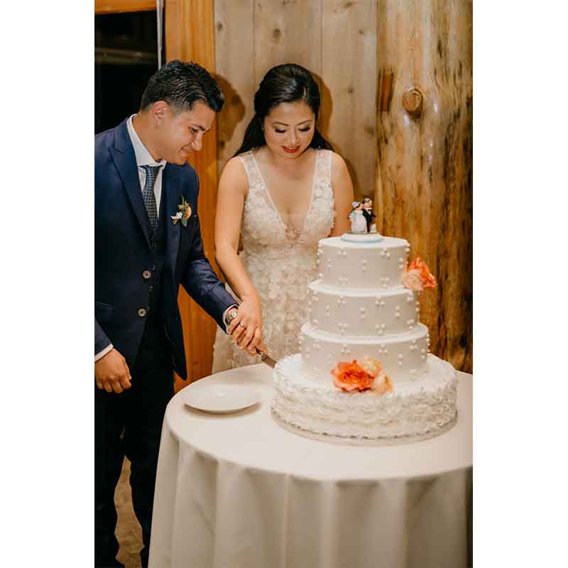Amy Gao and Morgan Brewster Wedding Cake Cutting