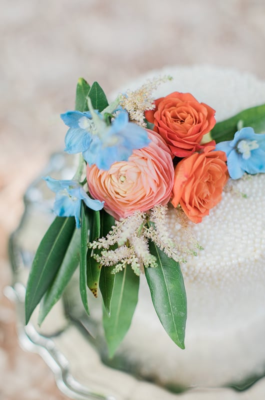 Kentucky Engagement Session Cake