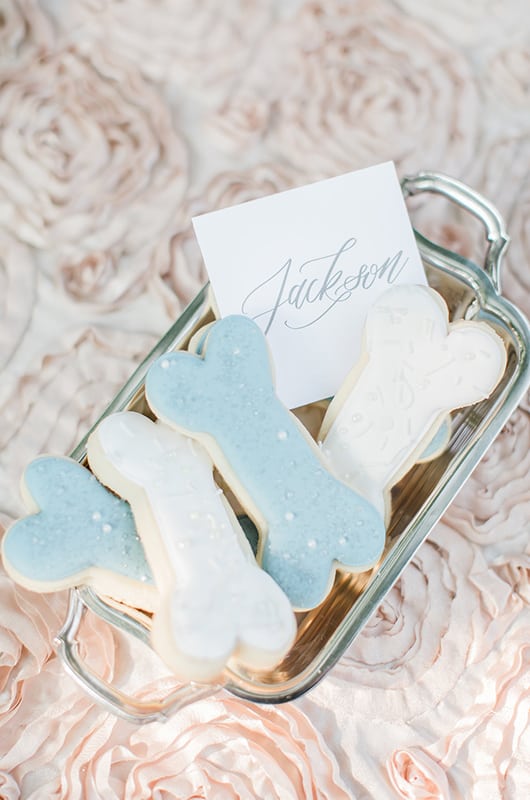 Kentucky Engagement Session Dog Treats