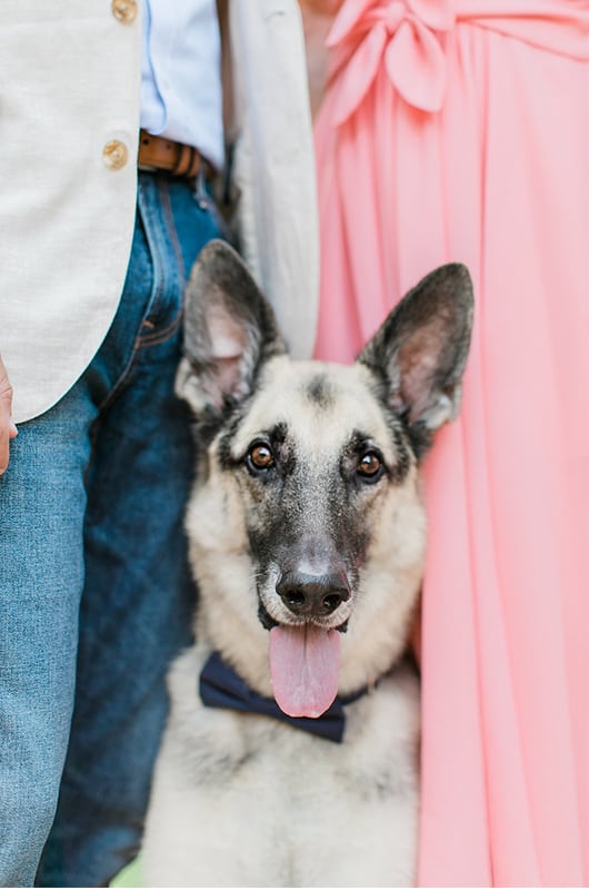 Kentucky Engagement Session Dog