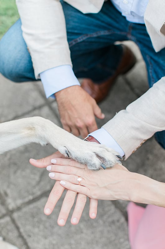 Kentucky Engagement Session Hands And Paw