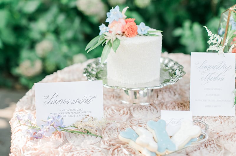 Kentucky Engagement Session Table3