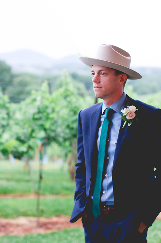 Northern Georgia Vineyard Groom