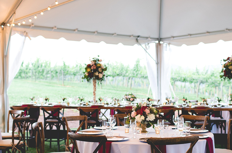 Northern Georgia Vineyard Reception