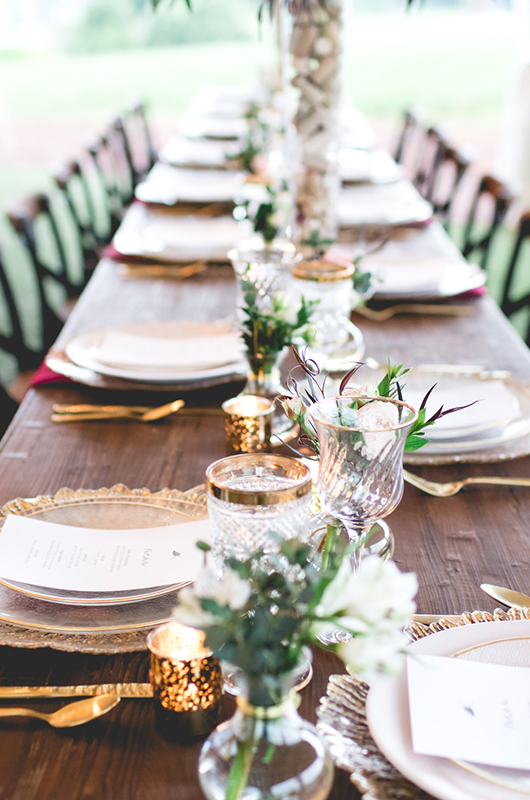 Northern Georgia Vineyard Table2