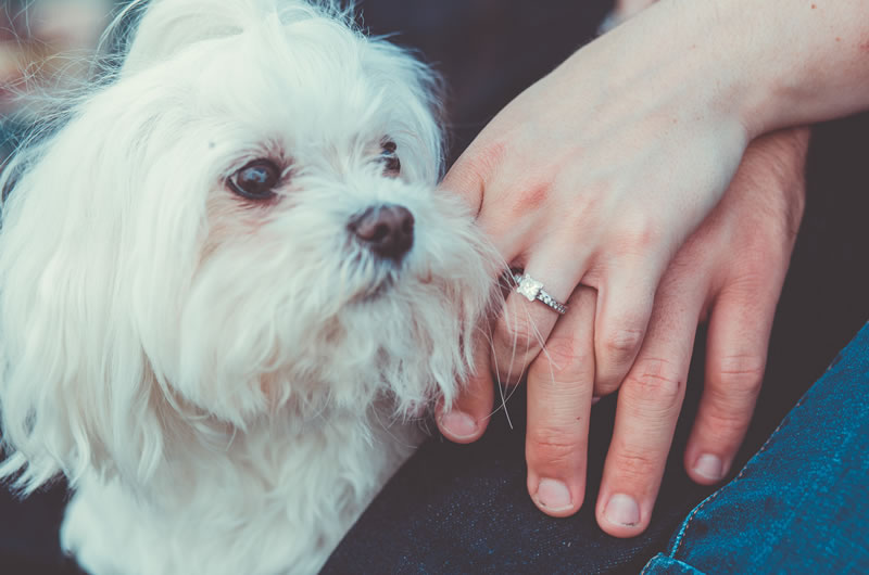 Fall Engagement Session In The Heart Of Georgia Miss Prissy