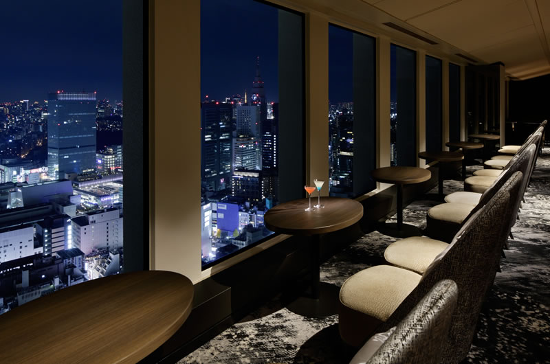 The Keio Plaza Hotel Tokyo Japan Aurora View