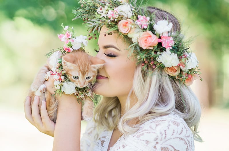 Cutest Kitten Bridal Portraits