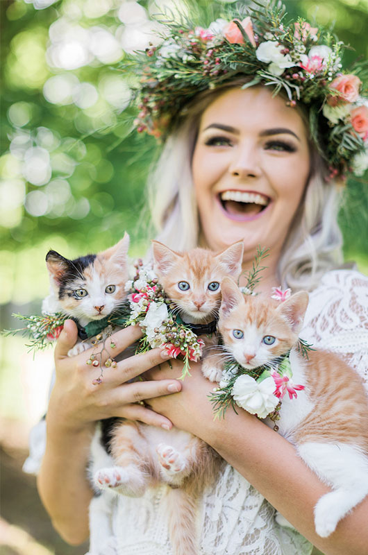 Kitten Bridal Shoot Holding All Three Kittens Laughing