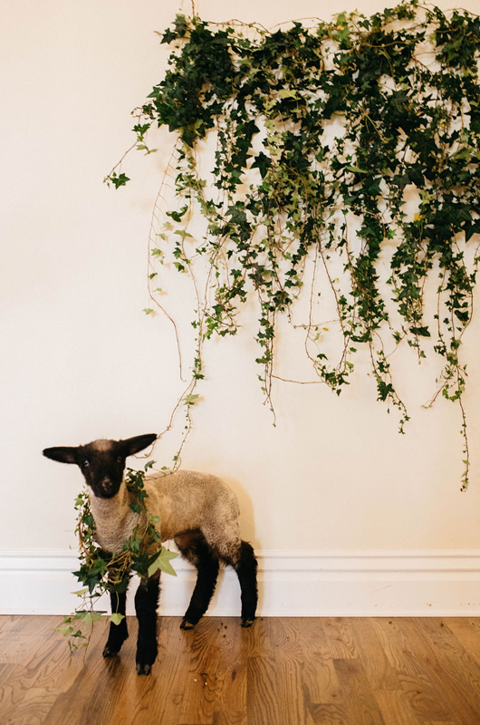 St Patricks Day Wedding Inspiration Lamb
