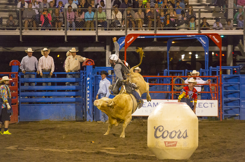 Steamboat Springs Colorado Rodeo Noah Wetzel