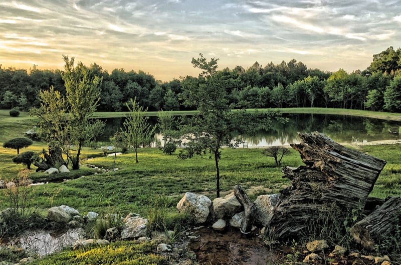 A Royal Romance At Chateau Fengari Pond