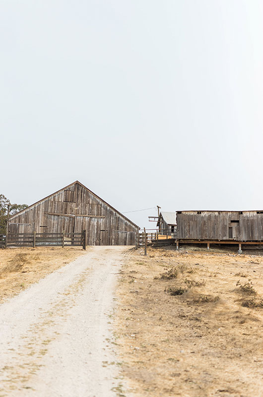 Sonoma County, California Beffa Springs Ranch Dirt Road