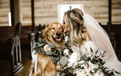 Camp Bow Wow’s Tips for Including Your Pet in Your Big Day