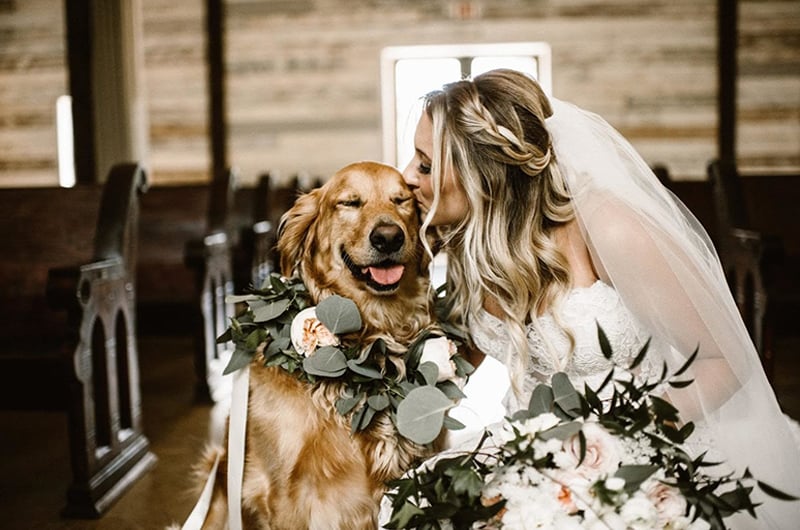 Camp Bow Wow's Tips For Including Your Pet In Your Big Day Bride And Dog