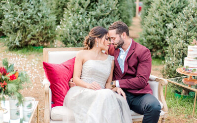 Dreamy Christmas Tree Styled Shoot