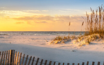 Westin Hilton Head Island Resort & Spa Offers Endless Options for Picturesque Destination Weddings