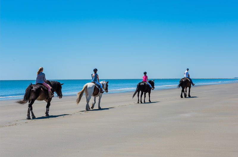 4 Reasons To Plan Your Bachelorette Getaway To Golden Isles Georgia Horses