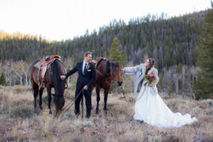 How To Navigate Planning A Wedding In 2021 Horses
