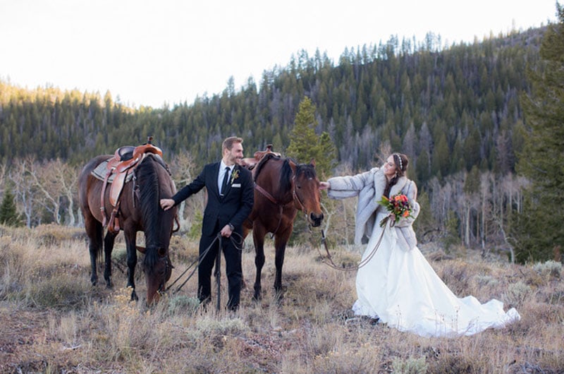 How To Navigate Planning A Wedding In 2021 Horses How To Navigate Planning A Wedding In 2021 Horses