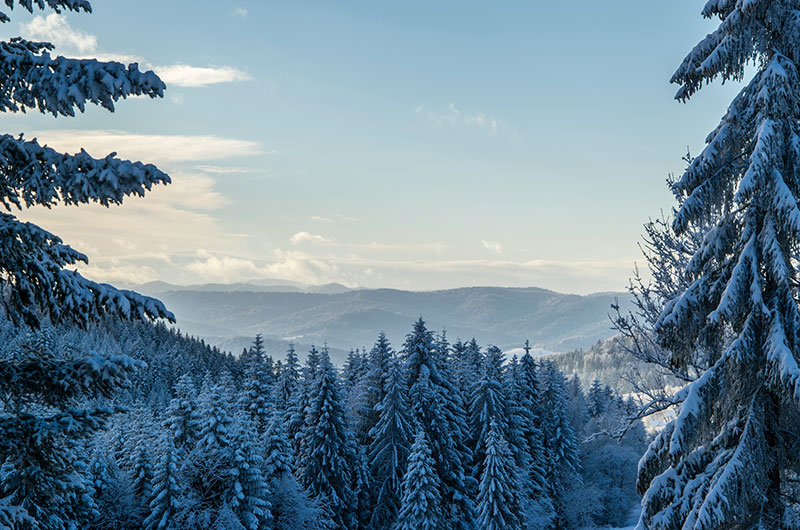 Host Your Rustic Winter Wedding At Cherry Log Pavilion Winter Mountainscape