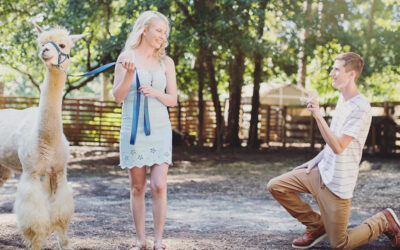 Couple Engaged at the Decatur Alpaca Cottage