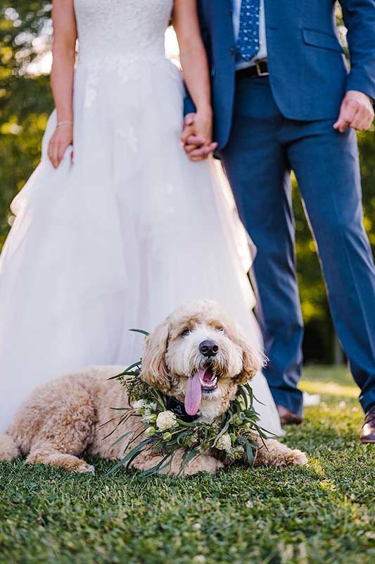 An Italian Garden Inspired Wedding At The Farm At High Shoals In Bishop, Georgia Dog At Wedding