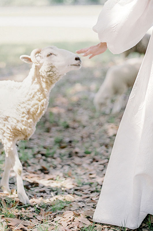 This Styled Shoot Boasts An Old World Wedding Feel With An Ethereal Twist Sheep