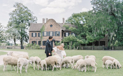 A Wedding That Boasts Bygone Luxe