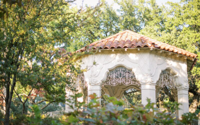 A Sweet Afternoon Engagement Session at Dallas Flippen Park