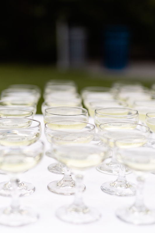 Elizabeth Fiser And Michael Williams Marry In A Beautiful Arkansas Chapel Champagne Glasses 1 Elizabeth Fiser And Michael Williams Marry In A Beautiful Arkansas Chapel Champagne Glasses 1