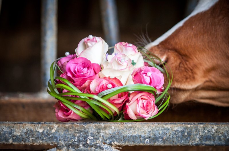 Key Things You Need To Know While Planning A Barn Wedding bouquet