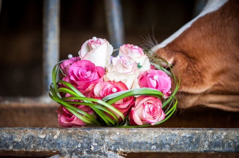 Key Things You Need To Know While Planning A Barn Wedding bouquet