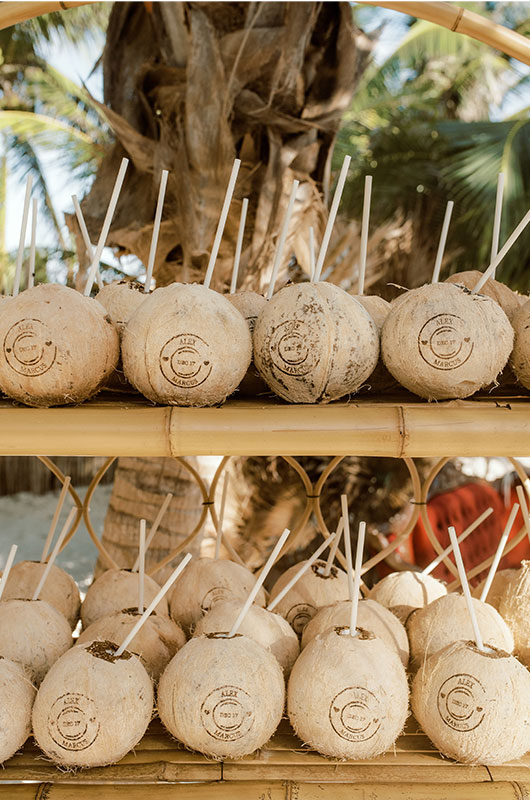 Alex Aust and Marcus Holman Marry at Akiin Tulum Coconut Drinks