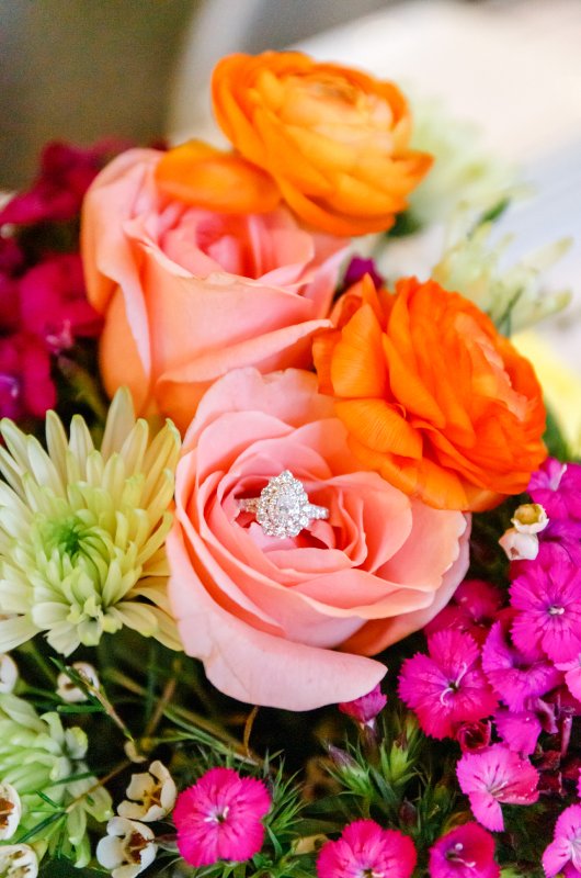 kayla and stuarts engagement at their alma mater ring and flowers