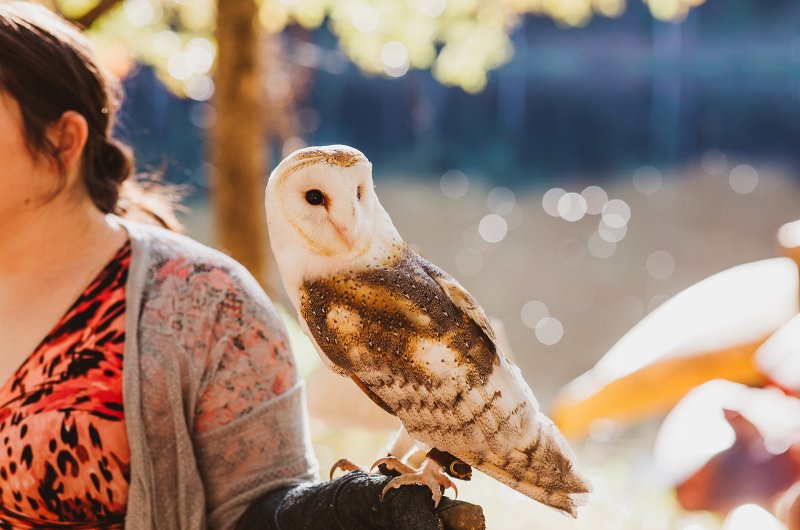 Elizabeth and Michael Marry at a Beautiful Fall Forest Wedding Owl