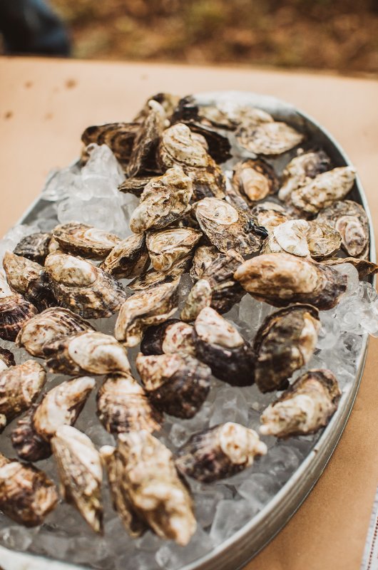 Elizabeth and Michael Marry at a Beautiful Fall Forest Wedding Oysters