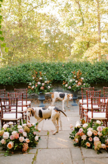 Horses And Hounds Styled Shoot In Middleburg Virginia dogs