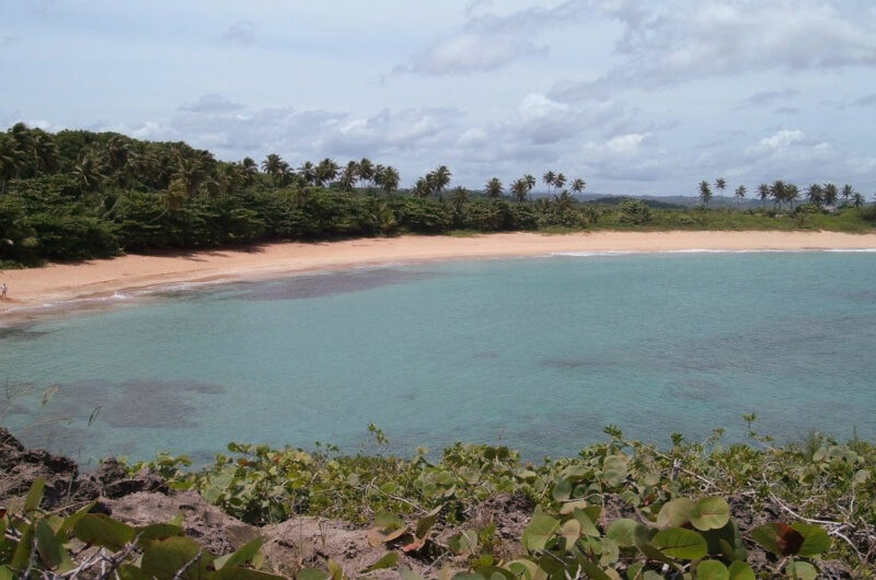 Cray Ways To Propose In Puerto Rico Las Palmas