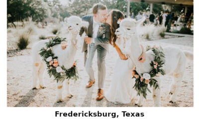 Styled Shoots in Hill Country, 4 Venues = 4 Distinct Portfolios – Fredericksburg, TX