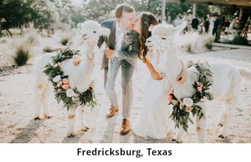 Styled Fredricksburg Event